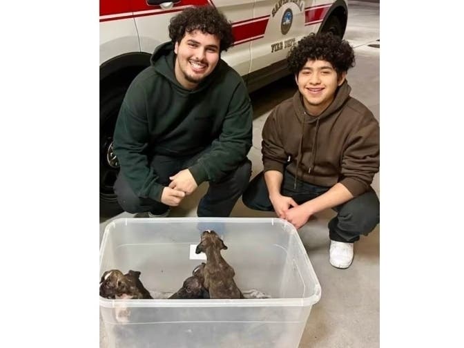 News small post card thumbnail