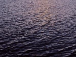 The abundance of phytoplankton can also rapidly alter the color of the water, NASA reported.