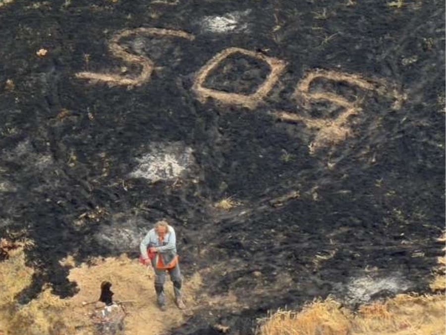 A shipwrecked sailor may have inadvertently set a wildfire on Santa Rosa Island, according to the New York Times.