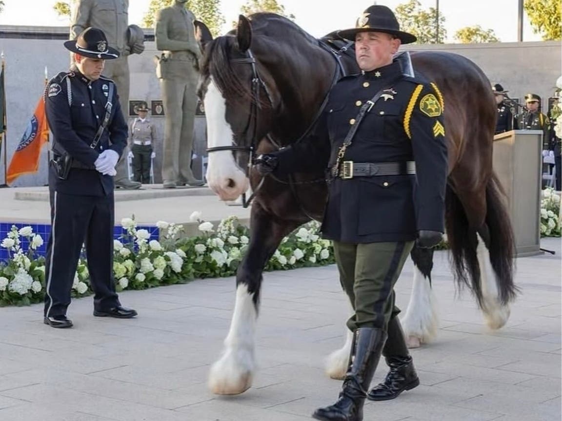 Wednesday joined the OCSD in 2024 and quickly became a favorite wherever she went.