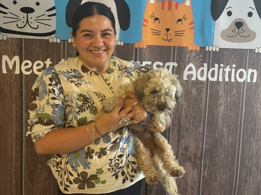 Staff said Teddy initially appeared withdrawn but became alert when she saw her owner, wagging her tail and howling.
