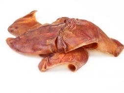 IL Salmonella Infections Tied To Dog Treats | PatchPM