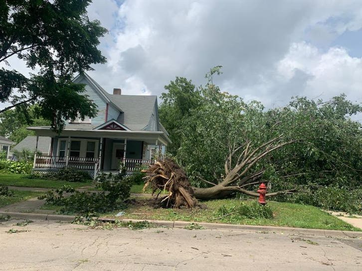 Power Lines Down, Trees Uprooted In Joliet, Tornado Hits Channahon ...