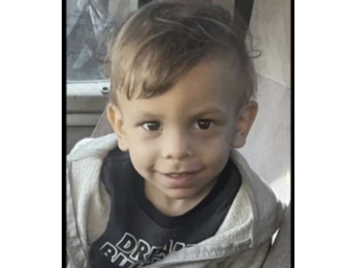 Officials in Illinois and Missouri said Ronnell "Prince" Jones Jr. was last seen by his mother more than two years ago. After she again approached police last month, a search uncovered a child's remains in a wooded area in Illinois.