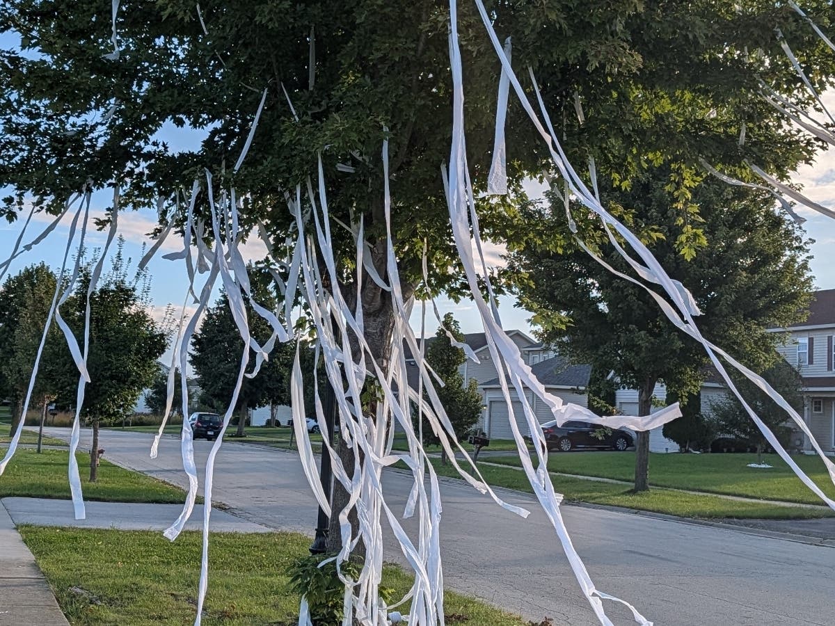 Police say a 17-year-old was taken to Loyola after he was shot with a high-powered air rifle during a toilet papering prank.