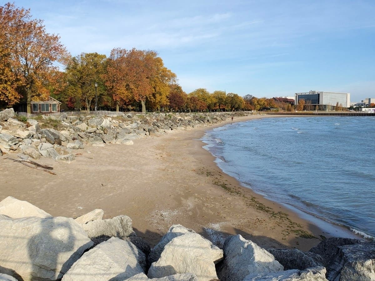 The Evanston Dog Beach will close indefinitely starting Dec. 1.