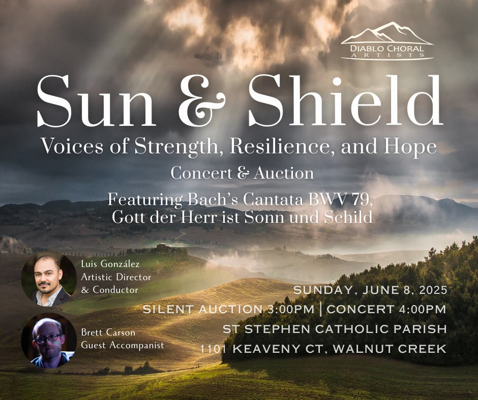 Sun & Shield - Voices of Strength, Resilience, and Hope