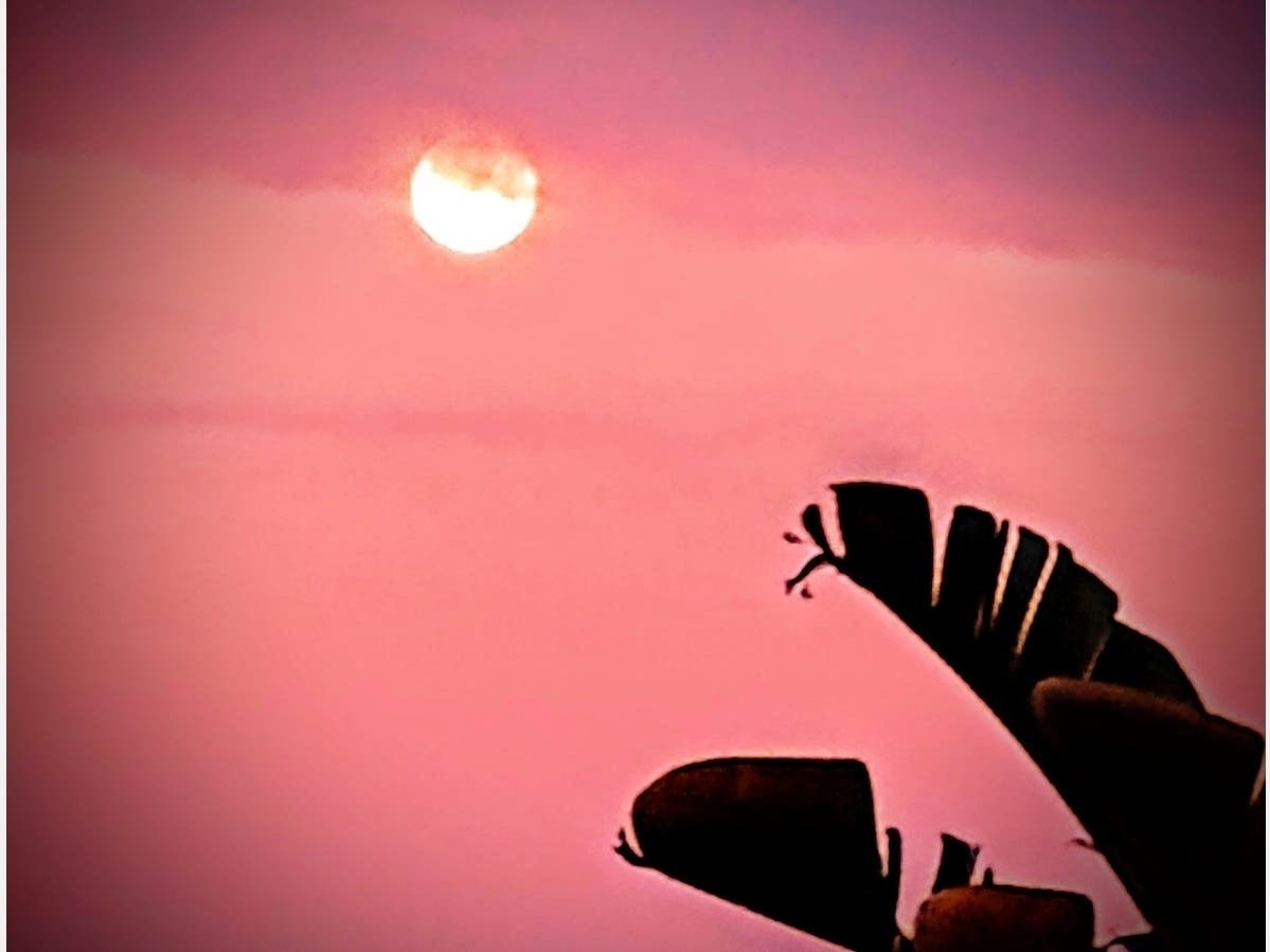 A beautiful pink sky and moon light up the early morning near Hotel Casa del Mar in Santa Monica, Calif. 
