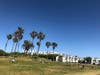People relax on the grass in Santa Monica. 
