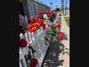 Bright, bold roses bloom in Redondo Beach. 