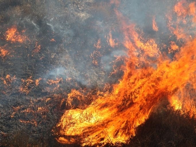 Firefighters contained a brush fire in Studio City Saturday.