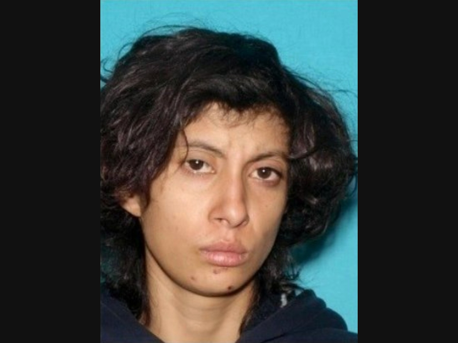 Santa Monica Police are searching for Angelica Torres, 24, last seen near Pacific Coast Highway.