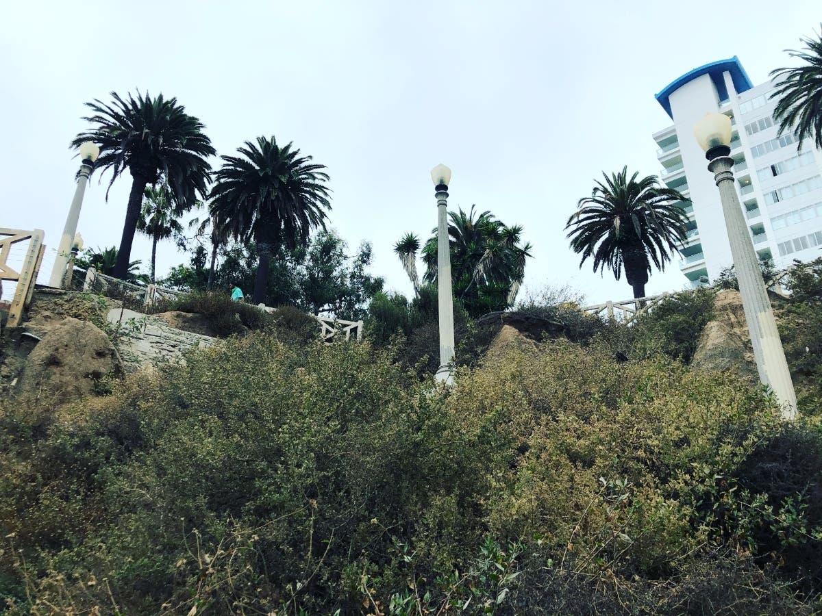 Santa Monica and Culver City will receive CARES Act Recovery funding. 