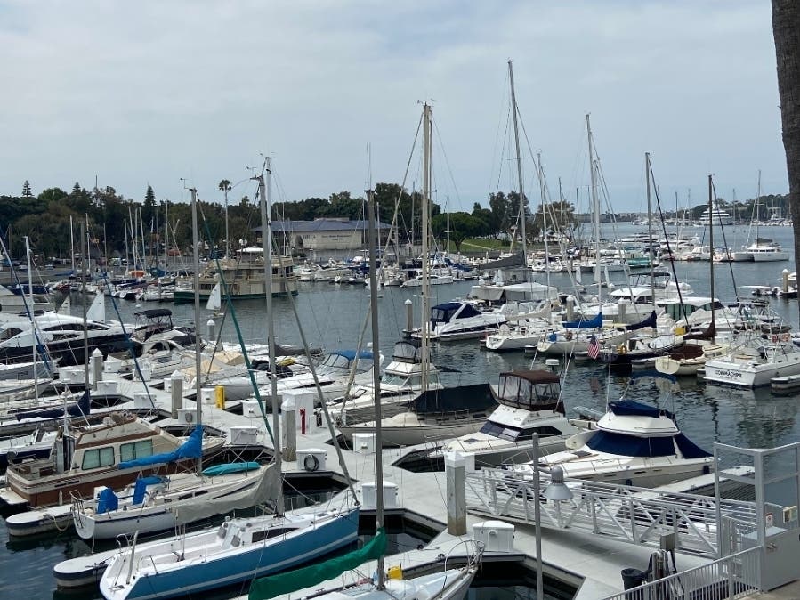A view of boats in Marina del Rey.