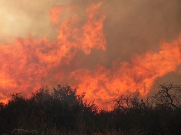 Santa Monica firefighters are joining the battle to contain the Lake Hughes Fire in North Los Angeles County.