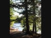 A summer day at Alford Lake Camp, Hope Maine.