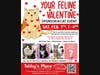 Your Feline Valentine at Tabby's Place