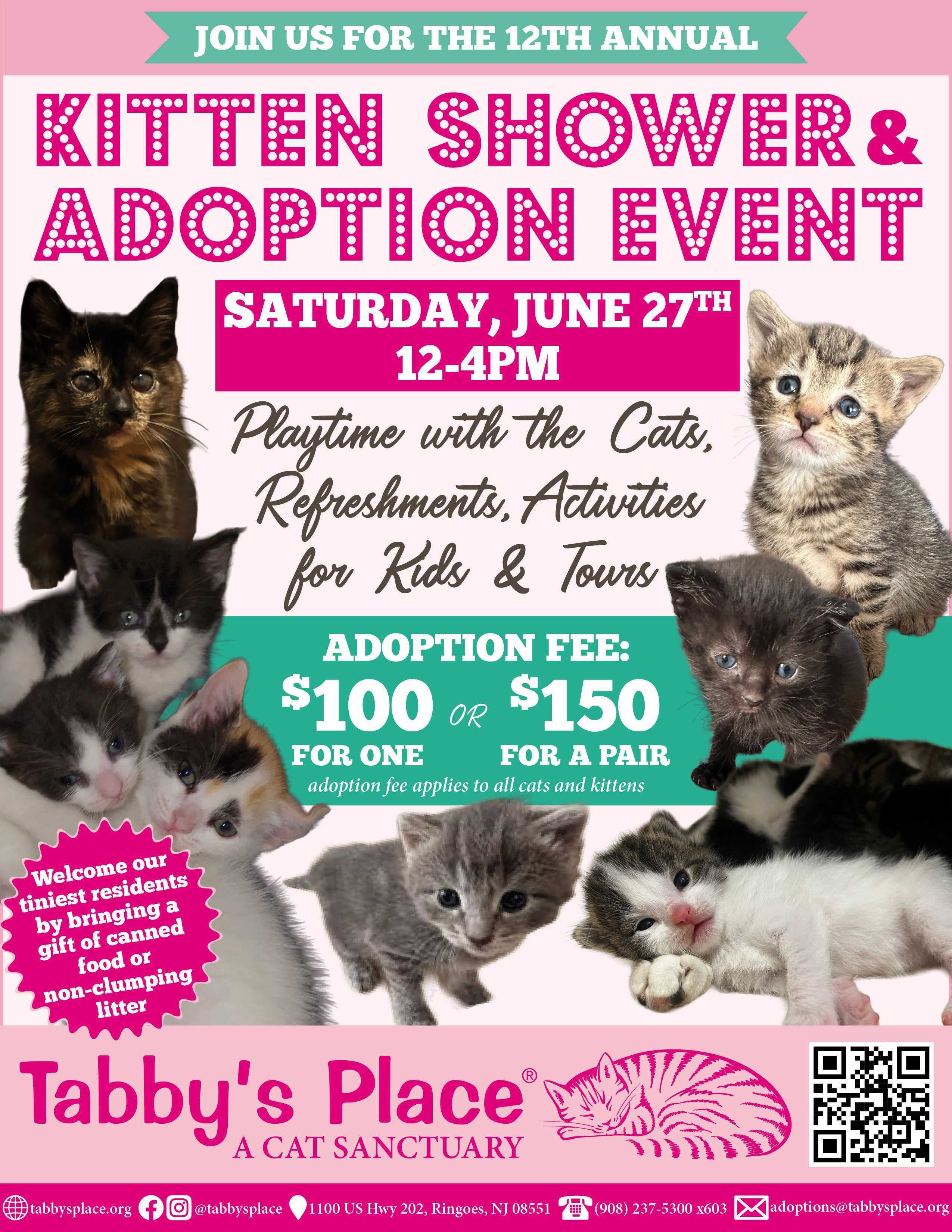 Kitten Shower and Adoption Event