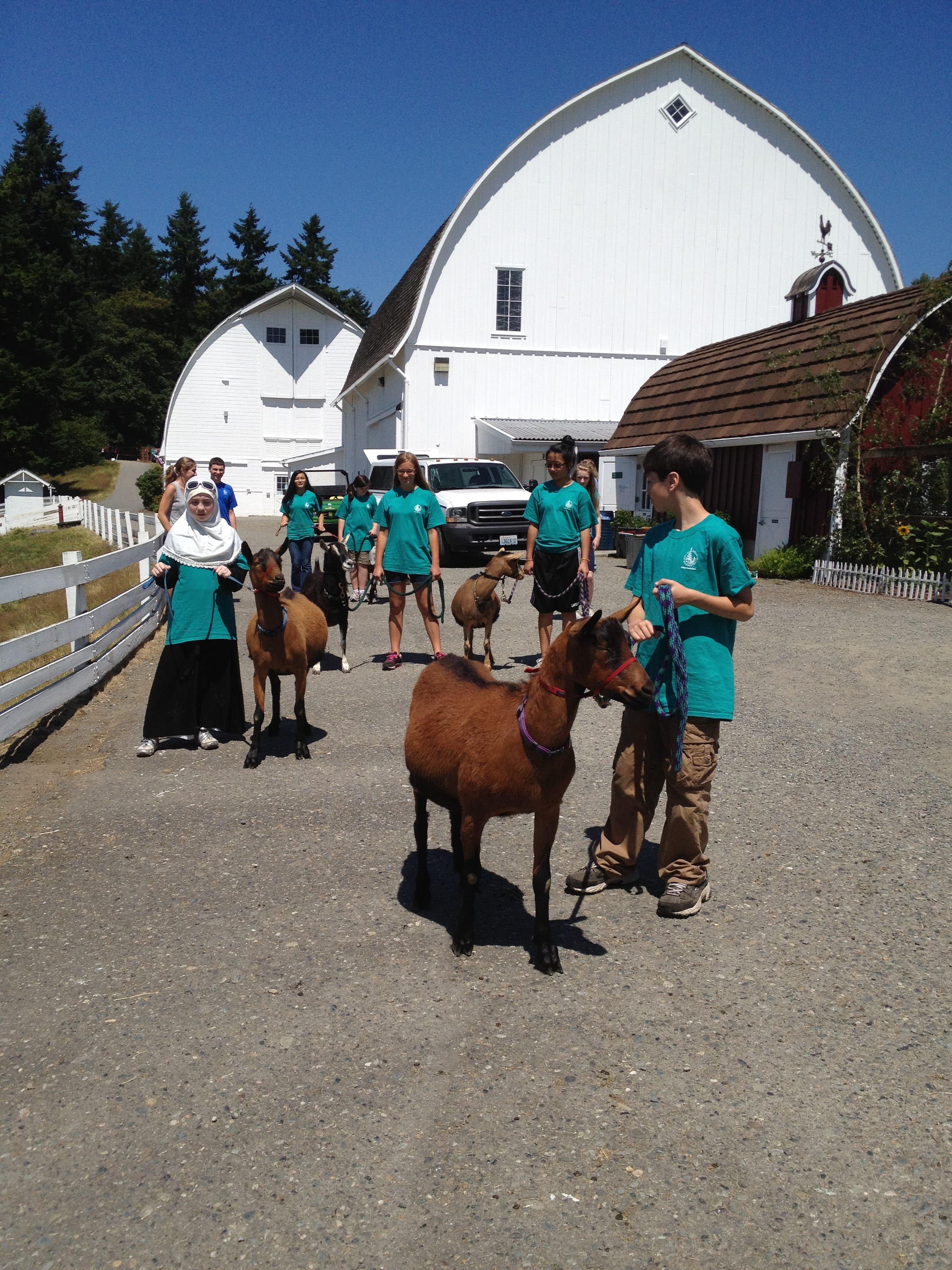 Summer Teen Farm Program at Kelsey Creek Farm