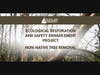 25 STERNE'S TREE REMOVAL SLIDE - 1