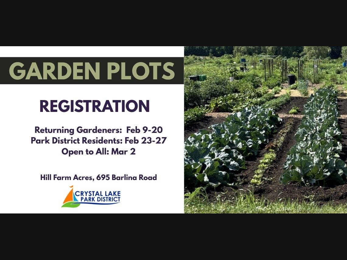 26 GARDEN PLOTS FEB 9 slide - 1