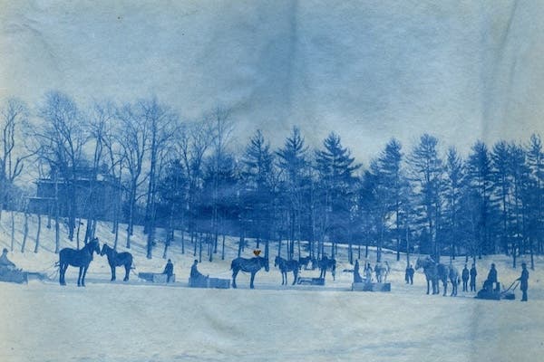 Walking Tour of Jamaica Pond