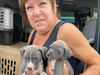 Christy VanMerkestyn drives all over Illinois and even to other states to transport animals to help rescue organizations and shelters. 