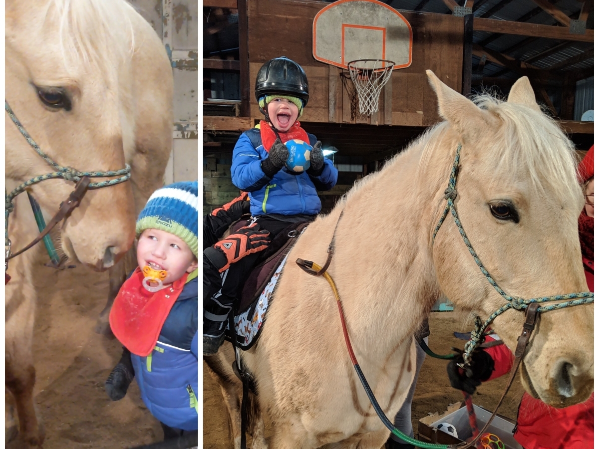 Meet Rescue Horse 'Toasted Marshmallow': Spotlight On HHH Ranch ...