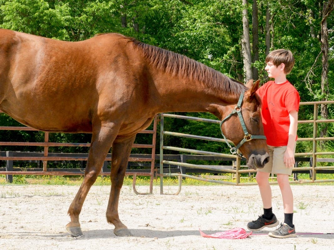 A 'Stable' Force: Manhattan Rescue Farm Seeks Mentors For Foster Kids ...