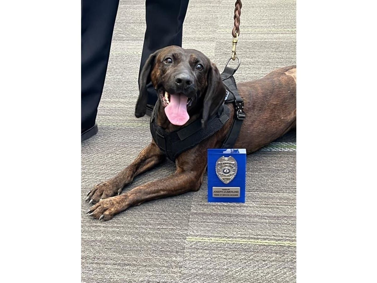 Orland Park Police K-9 Maverick has retired from active duty after more than 7 years on the job. 
