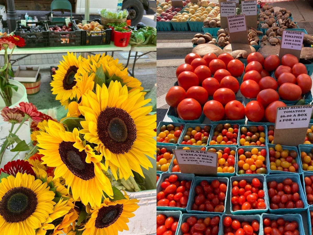 The Village of Homewood's Farmers Market returns May 30. 