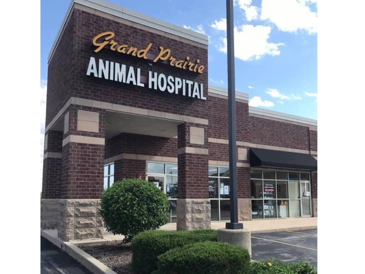 Manhattan's Grand Prairie Animal Hospital has added a veterinarian to the team. 