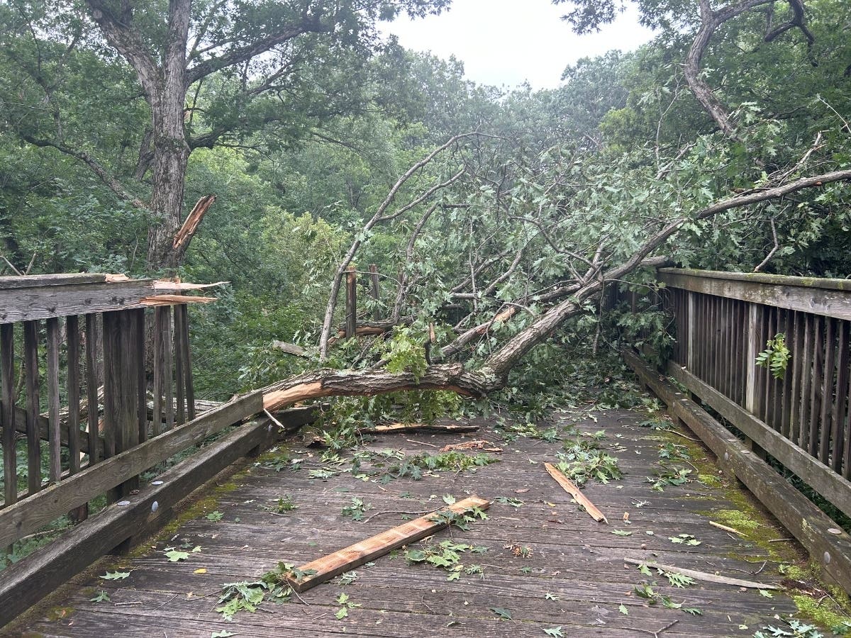 A tree fell on the 267-foot-long “Big Bridge” at Goodenow Grove Nature Preserve in Crete Township during Monday’s storms. The bridge, the Plum Creek Greenway Trail and other Forest Preserve District of Will County sites are closed due to storm damage. 