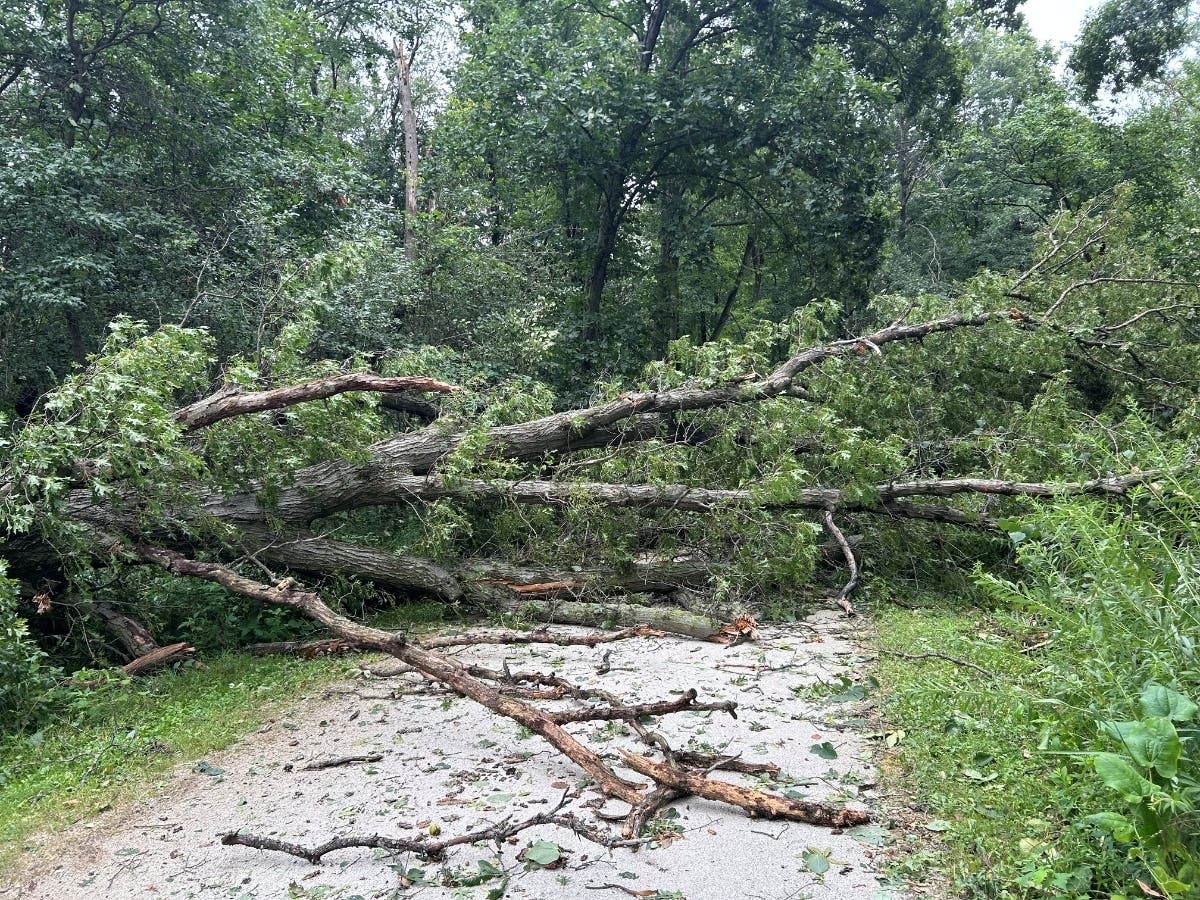 The Plum Creek Greenway Trail north of the “Big Bridge” remains closed due to recent storm damage.