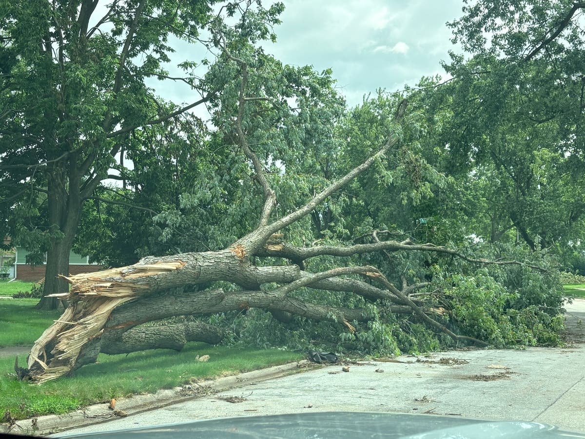 A Multi-Agency Resource Center (MARC) is coming to Homewood Aug. 27–30, for residents impacted by the Aug. 11 EF-1 tornado. 
