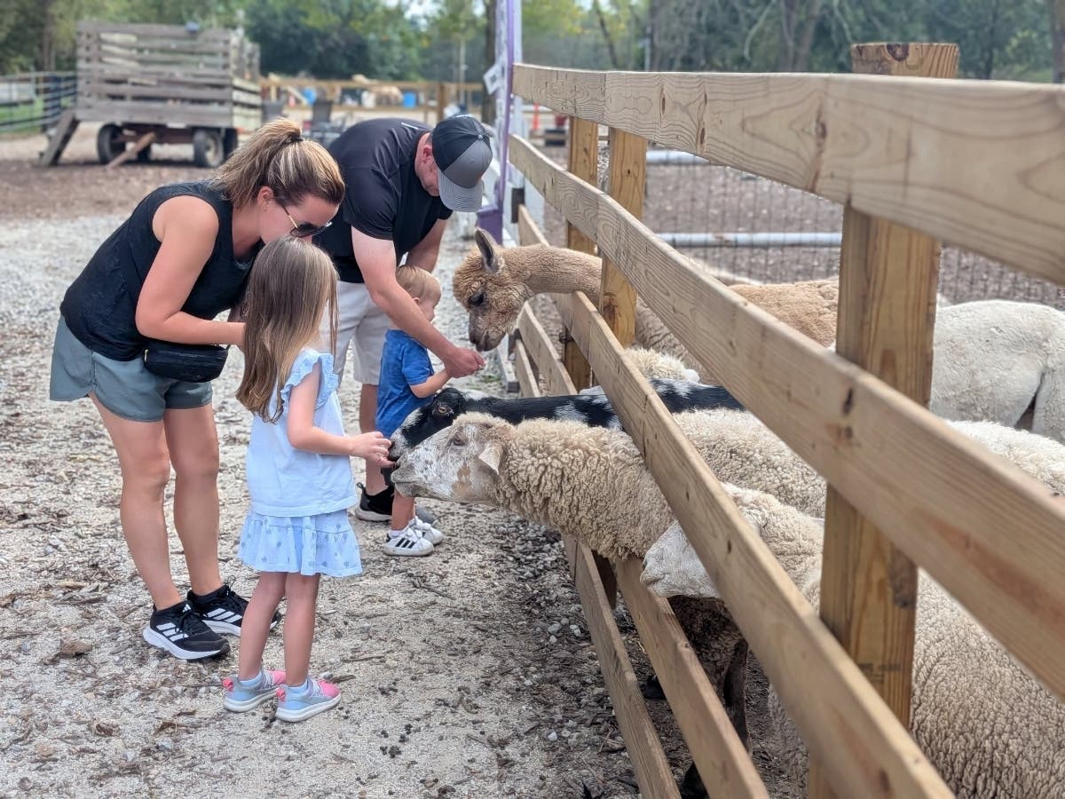Open Ranch invites visitors to meet and feed goats, alpacas, sheep, and other animals in HHH Ranch’s walk-through petting zoo. Admission is free, with animal feed available for $1 per jar.
