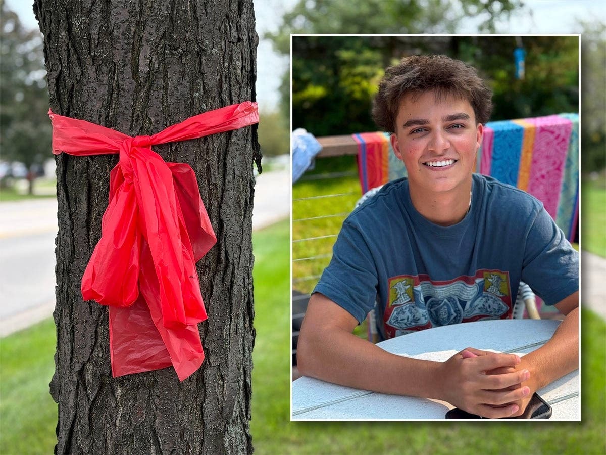 Brennen Saele, 17, of New Lenox, died Saturday, Sept. 19.