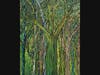 Rosemary Cotnoir, Arboreal Delight, oil
