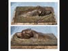 Josie Campbell Dellenbaugh, "Summer Dog", bronze