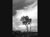 Michael Fanelli, Moraine, photograph