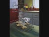 Catherine Puccio, "Temptation", oil