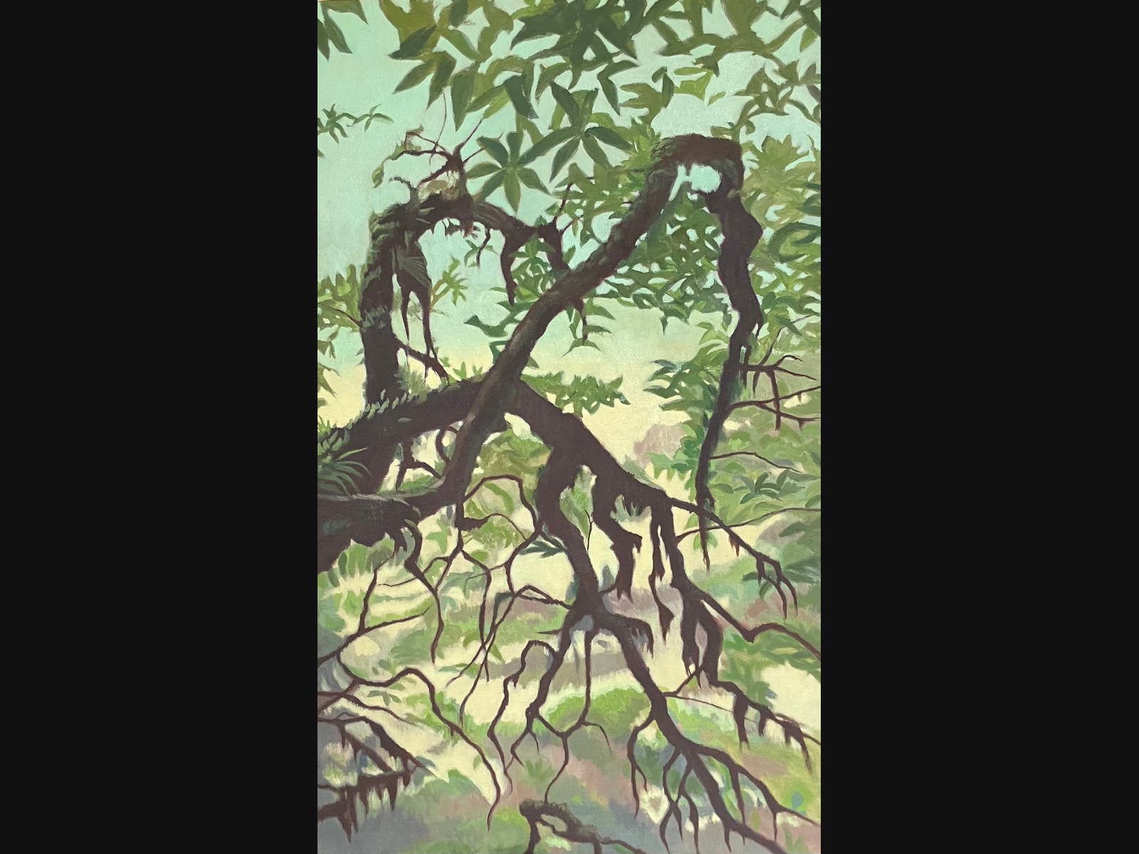 https://patch.com/img/cdn20/users/83637/20260819/110402/styles/patch_image/public/diane-chandler-waitomo-jungle-oil___19105350100.jpg