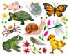 Pond Characters