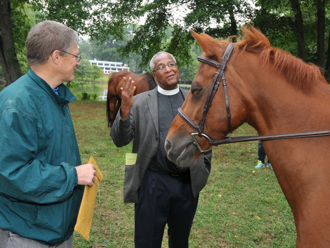 Father Lyons blessing a horse at the Celebration of Animals