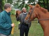 Father Lyons blessing a horse at the Celebration of Animals