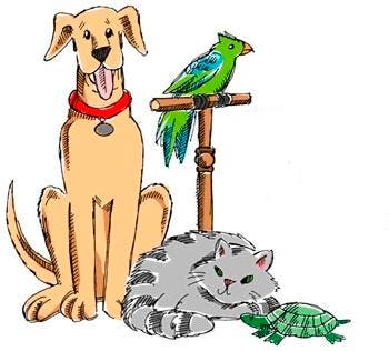 Blessing of the Animals
