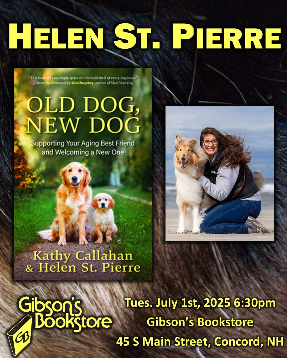 Author Helen St. Pierre - Old Dog, New Dog: Supporting Your Aging Best Friend and Welcoming a New On