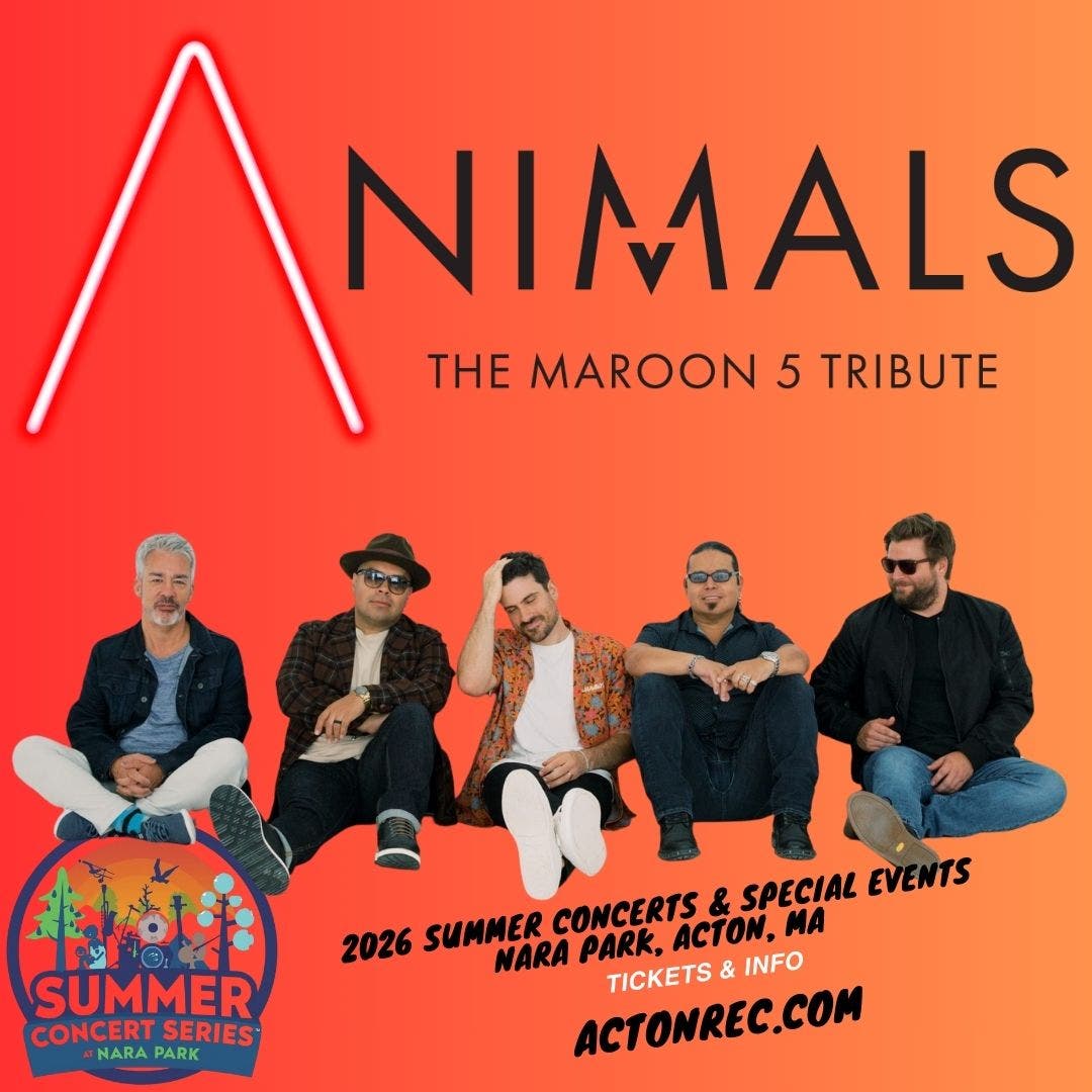 Animals - The Maroon 5 Tribute!