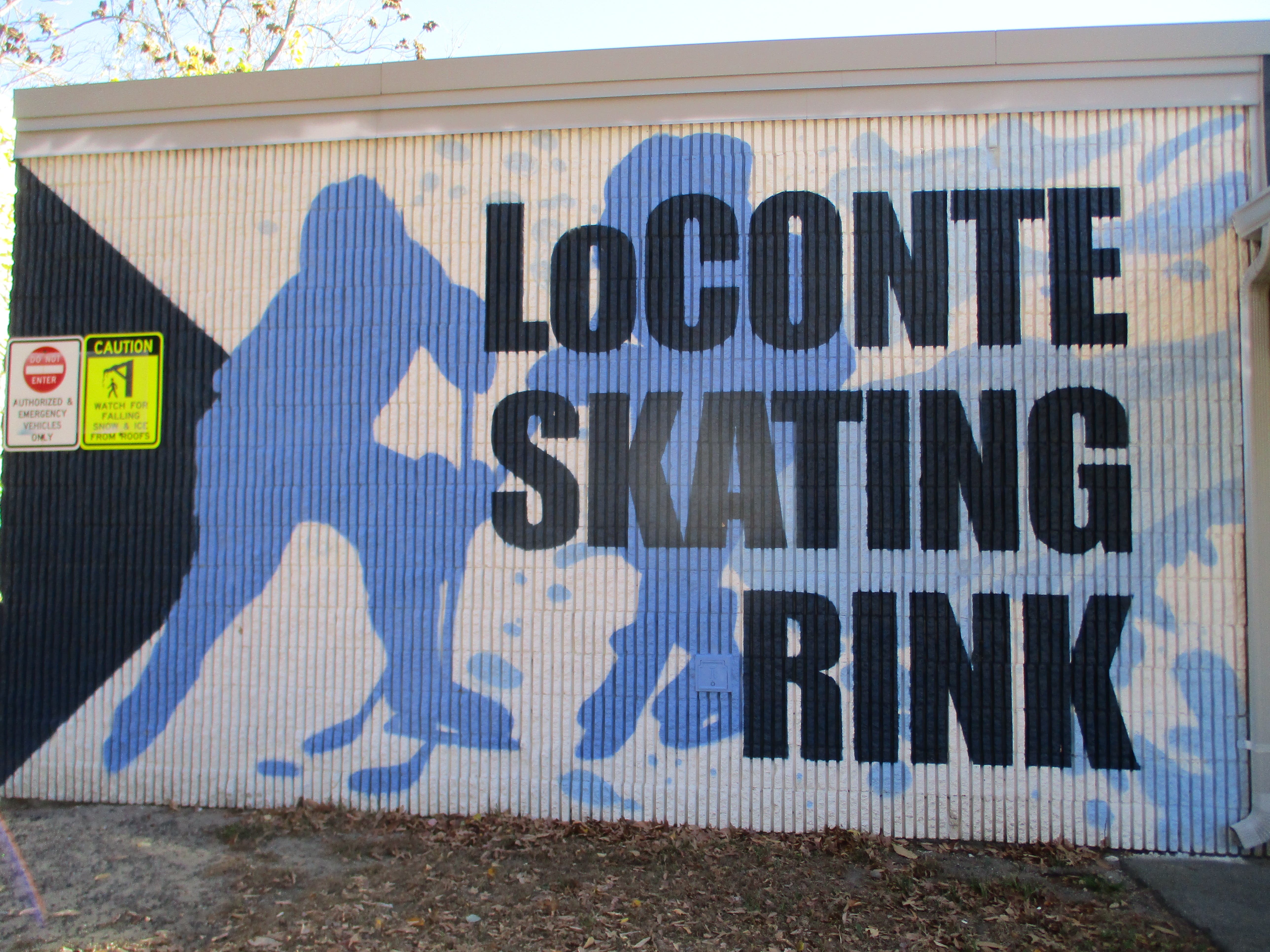 It's Not Too Late - Medford Youth Hockey & Girls Hockey Signups For Boys & Girls Ages 4-9 Continue !