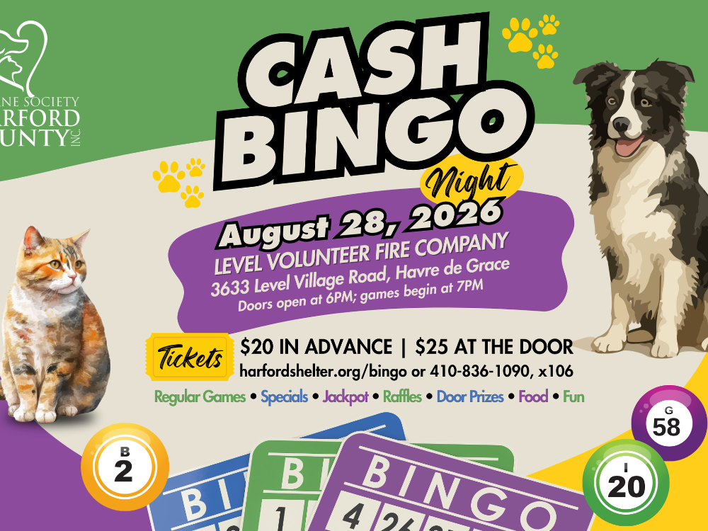 https://patch.com/img/cdn20/users/908353/20260723/104723/styles/patch_image/public/1___23104324751.png